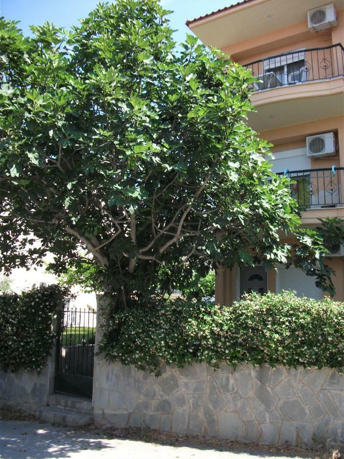Kallithea Fani Houseアパートメント エクステリア 写真